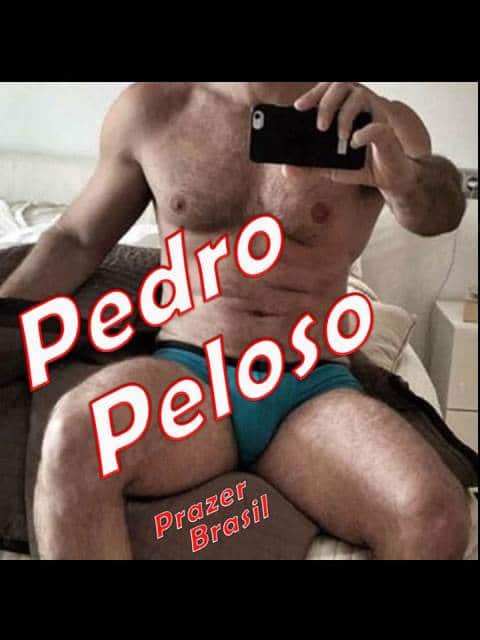 1PedroPelosoCapa Pedro Peloso