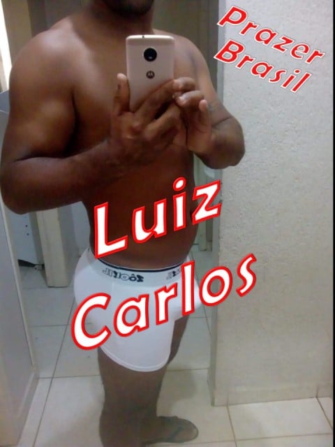 1LuizCarlosHomemBresqueSCCapa Luiz Carlos