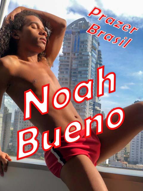 1NoahBuenoCapa Noah Bueno
