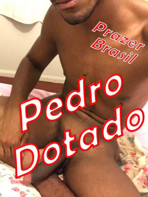 1PedroDotadoCapa Pedro Dotado