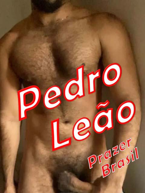 1PedroLeaoCap Pedro Leão