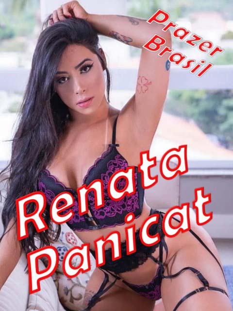1RenataPanicatCap Travestis e Transex em São Paulo / SP