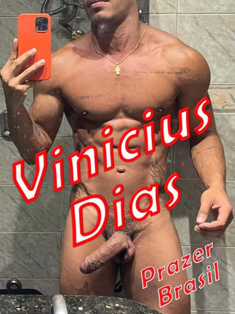 1ViniciusDiasCap2 Vinicius Dias
