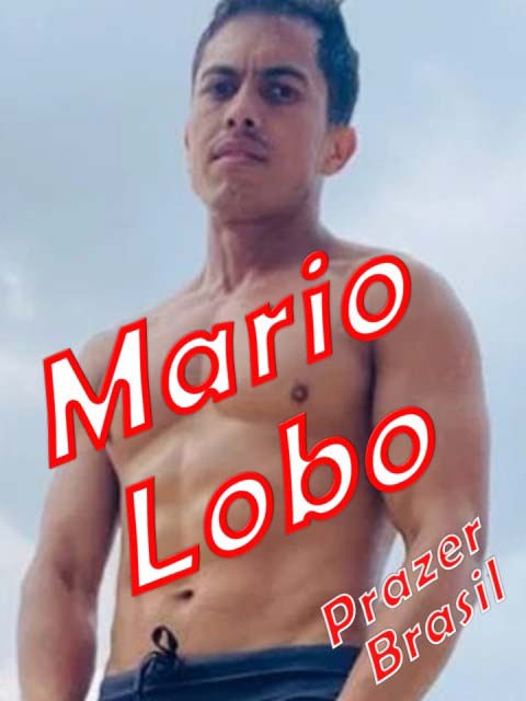 1MarioLoboCap Mario Lobo
